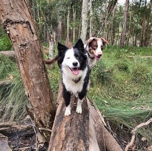 Meet your Posher, Priya